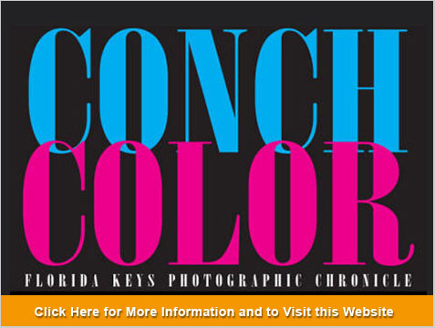 Conch Color