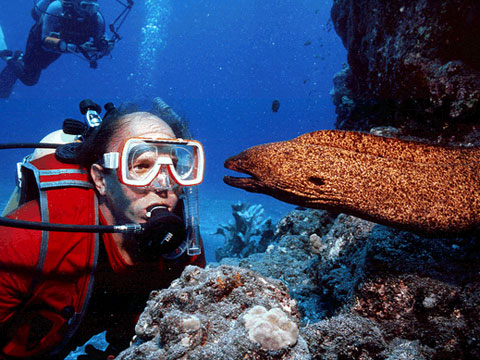  Florida Keys Diving
