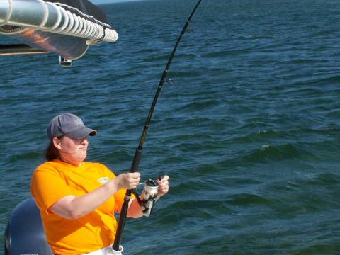 Melissa Carlo of Wantagh NY hooked up to a lemon shark